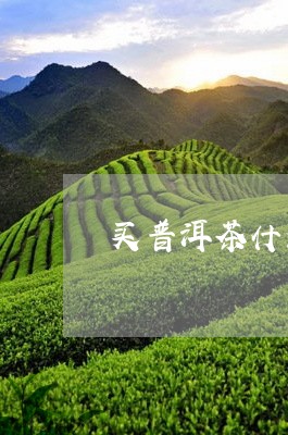 买普洱茶什么味道好一点/2023050514058