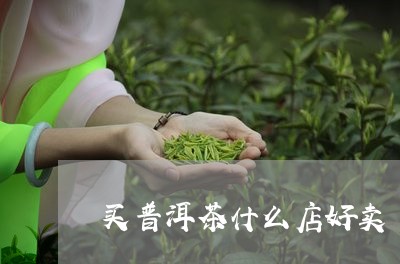 买普洱茶什么店好卖/2023071115069