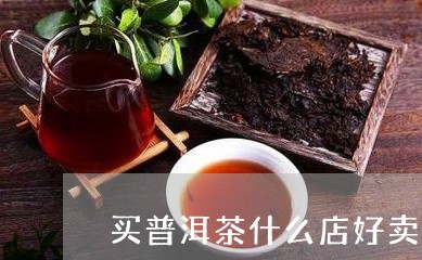 买普洱茶什么店好卖些/2023110561695