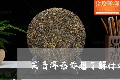 买普洱茶你想了解什么/2023062113827