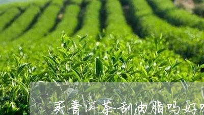 买普洱茶刮油脂吗好吗怎么炒/2023110554258