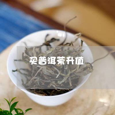 买普洱茶升值/2023042700326