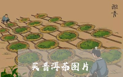 买普洱茶图片/2023042823753