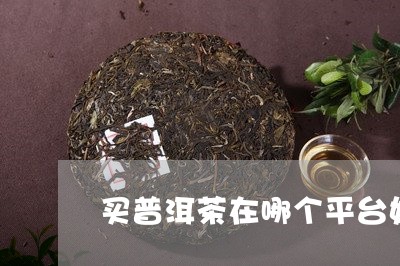 买普洱茶在哪个平台好/2023062384848