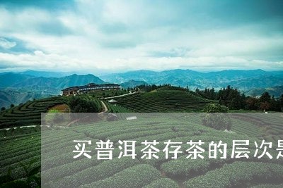 买普洱茶存茶的层次是/2023063073915