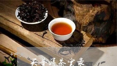 买普洱茶实录/2023042602729