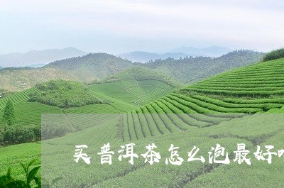 买普洱茶怎么泡最好喝呢/2023082711936