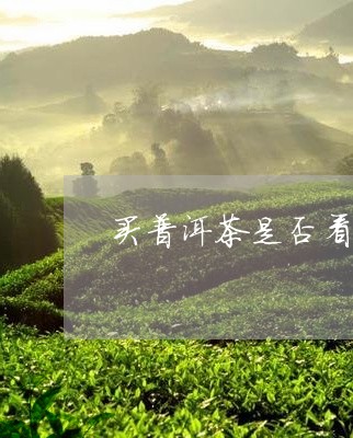 买普洱茶是否看中茶区/2023080391623