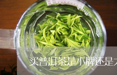 买普洱茶是小牌还是大品牌好/2023102563825