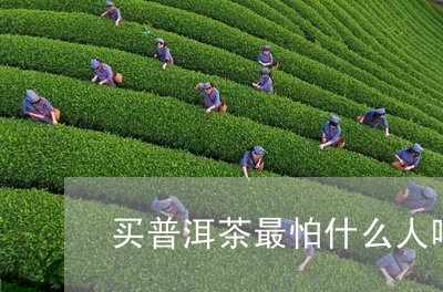 买普洱茶最怕什么人喝过/2023082887350