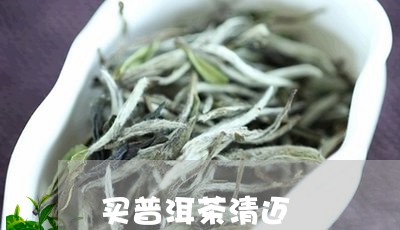 买普洱茶清迈/2023091271682