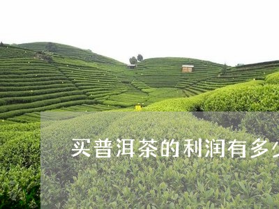 买普洱茶的利润有多少/2023061841714