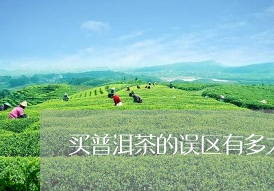 买普洱茶的误区有多大呢/2023101720724