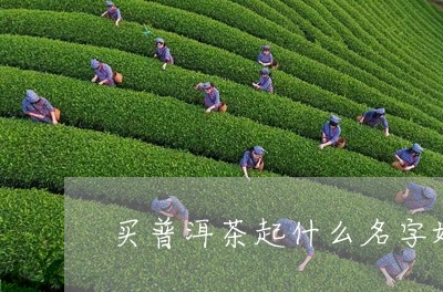 买普洱茶起什么名字好听/2023050528261