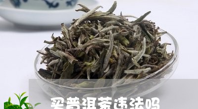 买普洱茶违法吗/2023081814726