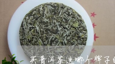 买普洱茶选哪个牌子的/2023062327381