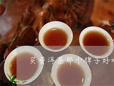 买普洱茶那个牌子好喝/2023062794705