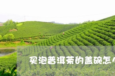 买泡普洱茶的盖碗怎么选/2023082434848