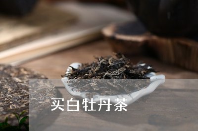 买白牡丹茶/2023082724937