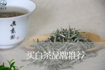 买白茶品牌推荐/2023121614279