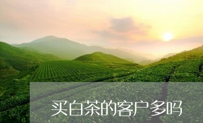 买白茶的客户多吗/2023061452817