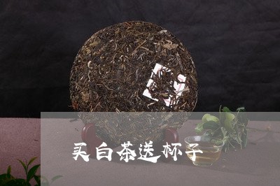 买白茶送杯子/2023051256057