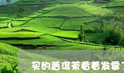 买的普洱茶看着发霉了/2023062372582