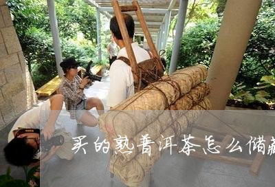 买的熟普洱茶怎么储藏/2023061793604