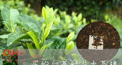 买的白茶叶片大茶梗/2023081293838