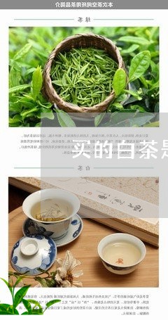 买的白茶是什么茶种/2023121638456