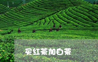 买红茶加白茶/2023051257268