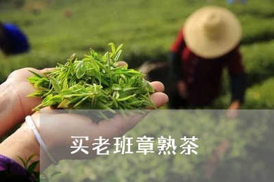 买老班章熟茶/2023090790501