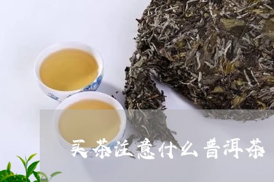 买茶注意什么普洱茶/2023070906248