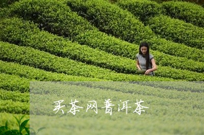 买茶网普洱茶/2023042884919