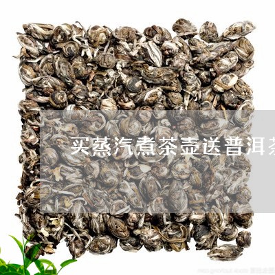 买蒸汽煮茶壶送普洱茶/2023062163704