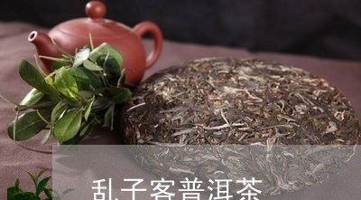 乱子客普洱茶/2023042880152