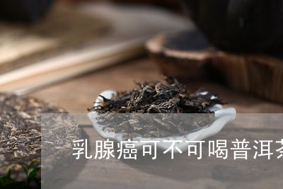 乳腺癌可不可喝普洱茶/2023092671601