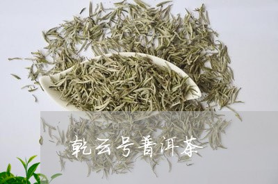 乾云号普洱茶/2023042711900