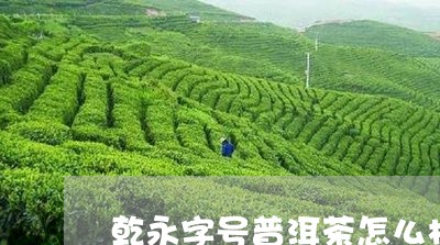 乾永字号普洱茶怎么样/2023072286049