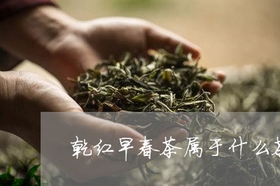 乾红早春茶属于什么茶/2023071458503