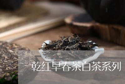 乾红早春茶白茶系列/2023121638393