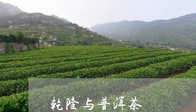 乾隆与普洱茶/2023042922801