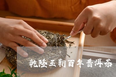 乾隆王朝百年普洱茶/2023120518261