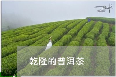 乾隆的普洱茶/2023042779877