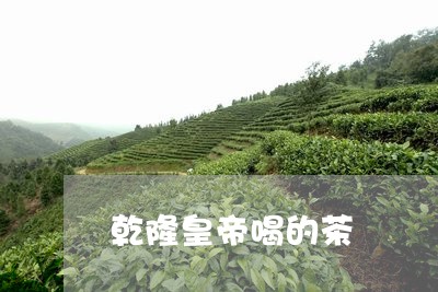 乾隆皇帝喝的茶/2023042977218