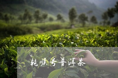 乾顺号普洱茶/2023042555130