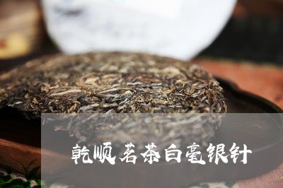 乾顺茗茶白毫银针/2023090683915