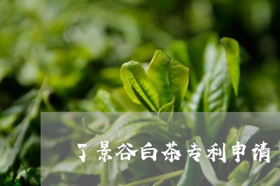 了景谷白茶专利申请/2023121675928