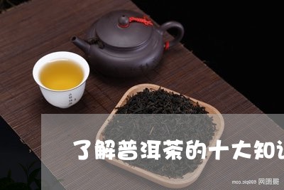 了解普洱茶的十大知识/2023061564837