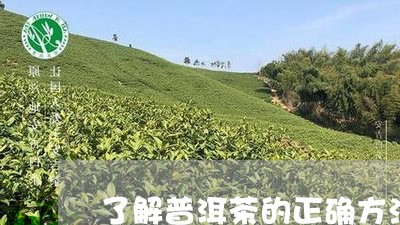 了解普洱茶的正确方法/2023080191724